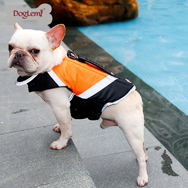 Shark Duck Mermaid Pet Swimming Clothes