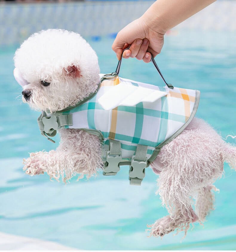 O1CN014m5HqU1Ua9zWeNoZQ 3642712533 0 cib 1