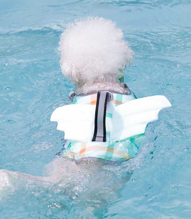 O1CN01fyYxSF1Ua9zXps1hs 3642712533 0 cib