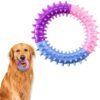 Dog Chew Toys